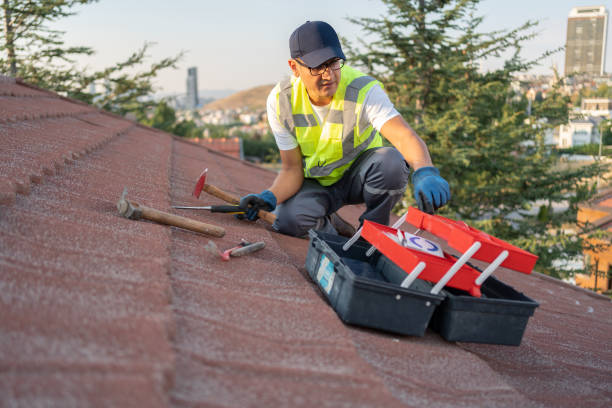 Best Siding Removal and Disposal  in Linton Hall, VA